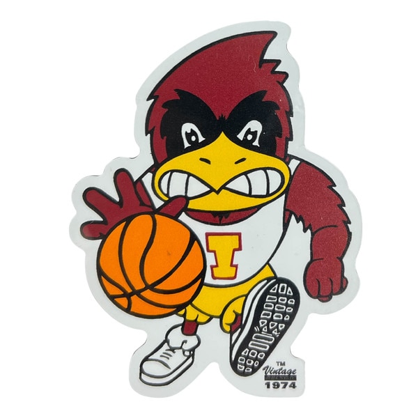 Basketball Cy Auto Magnet (2"x3.5")
